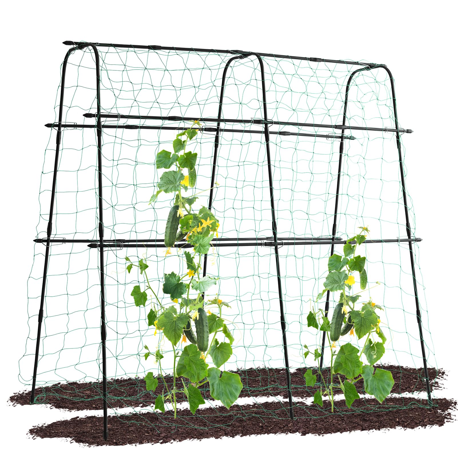 Amazon.com : Lalahoni Cucumber Trellis, 5.3x5.3 Feet Metal Garden